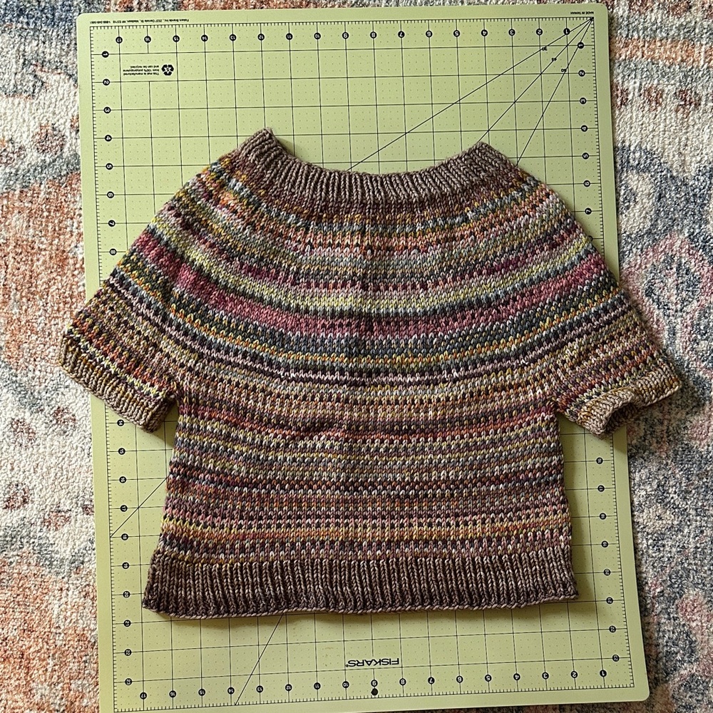 Mocha Mousse Brown Multicolor Striped Cropped Knit Sweater